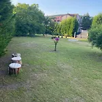 Au Paradis D'alsace 55 M2 Nature & Relax *