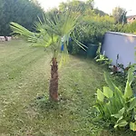 Apartamento Au Paradis D'alsace 55 M2 Nature & Relax *