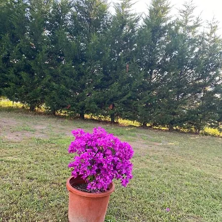 Au Paradis D'alsace 55 M2 Nature & Relax * Ingwiller