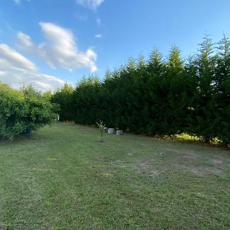 Au Paradis D'alsace 55 M2 Nature & Relax * Ingwiller