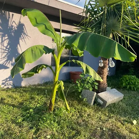 Appartamento Au Paradis D'alsace 55 M2 Nature & Relax *