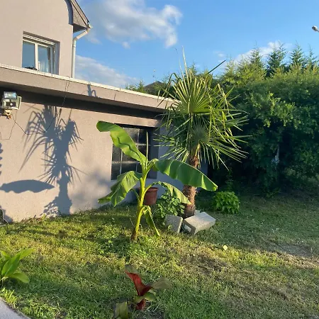 Apartamento Au Paradis D'alsace 55 M2 Nature & Relax Ingwiller