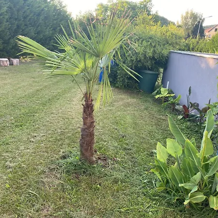 Apartment Au Paradis D Alsace Nature & Relax *