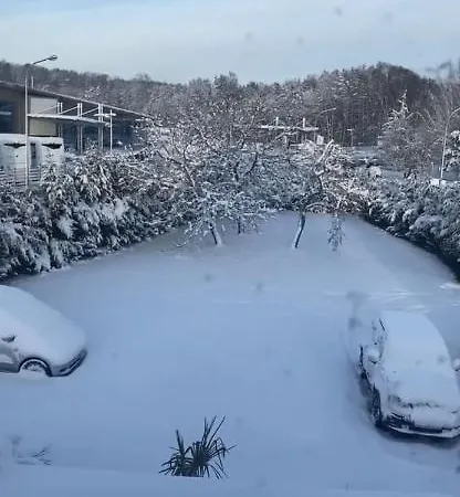 Au Paradis D'alsace 55 M2 Nature & Relax Ingwiller