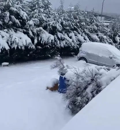 Au Paradis D'alsace 55 M2 Nature & Relax Appartamento