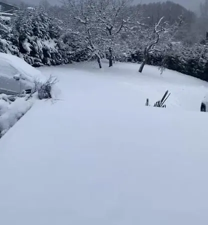 Au Paradis D'alsace 55 M2 Nature & Relax * Ingwiller