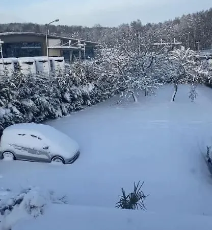 Au Paradis D'alsace 55 M2 Nature & Relax *