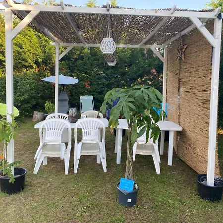 Au Paradis D'alsace 55 M2 Nature & Relax Ingwiller