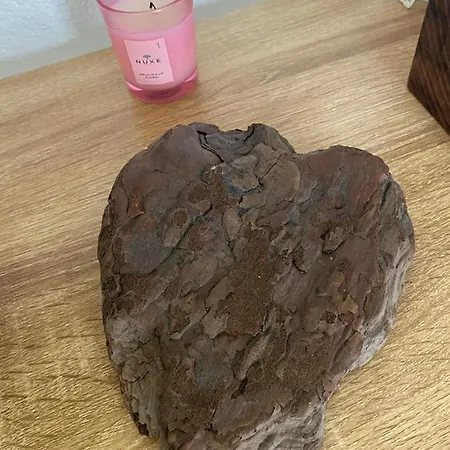 Apartamento Au Paradis D'alsace 55 M2 Nature & Relax Ingwiller