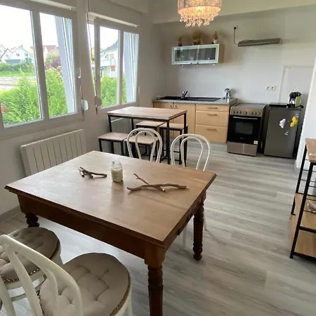 Au Paradis D'alsace 55 M2 Nature & Relax Apartamento Ingwiller