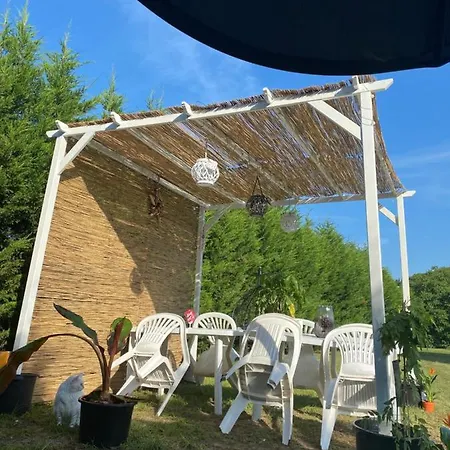 Au Paradis D'alsace 55 M2 Nature & Relax Appartamento