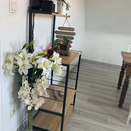 Apartamento Au Paradis D'alsace 55 M2 Nature & Relax *