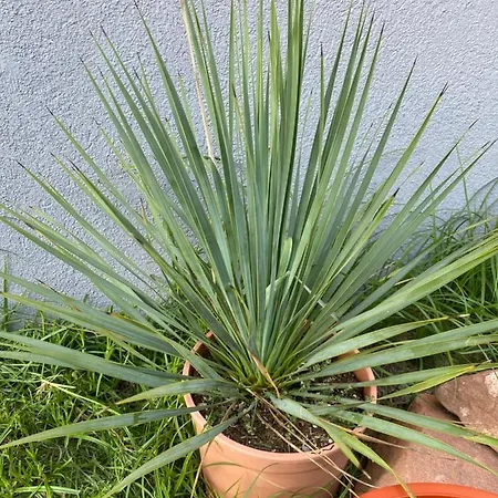 Au Paradis D'alsace 55 M2 Nature & Relax Apartamento *