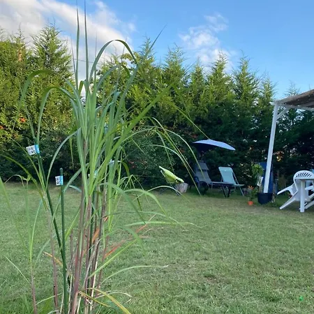 Au Paradis D'alsace 55 M2 Nature & Relax Appartamento