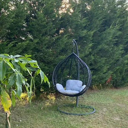 Au Paradis D'alsace 55 M2 Nature & Relax Appartamento Ingwiller