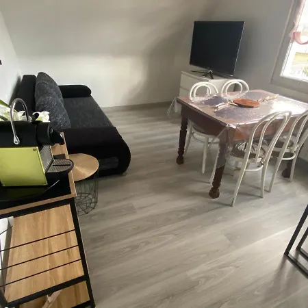 Apartamento Au Paradis D'alsace 55 M2 Nature & Relax Ingwiller