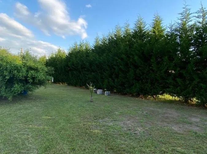 Au Paradis D'alsace 55 M2 Nature & Relax * Ingwiller