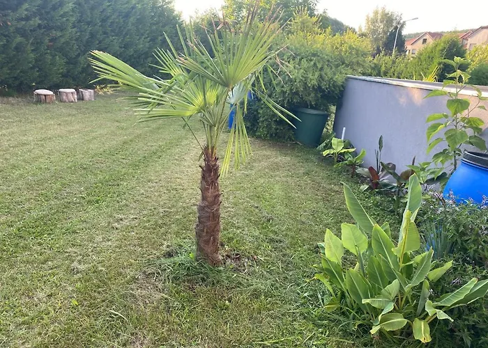 Appartamento Au Paradis D'alsace 55 M2 Nature & Relax *