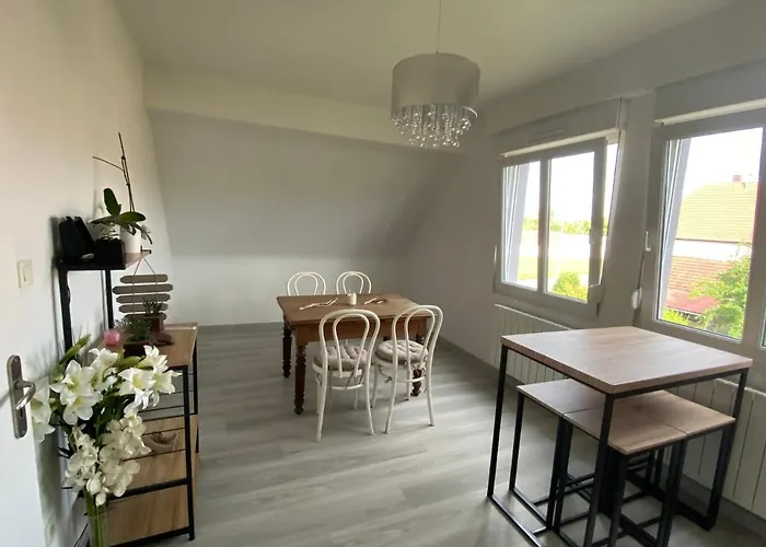 Appartamento Au Paradis D'alsace 55 M2 Nature & Relax