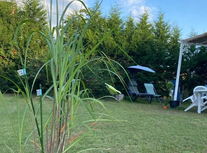 Au Paradis D'alsace 55 M2 Nature & Relax Appartamento